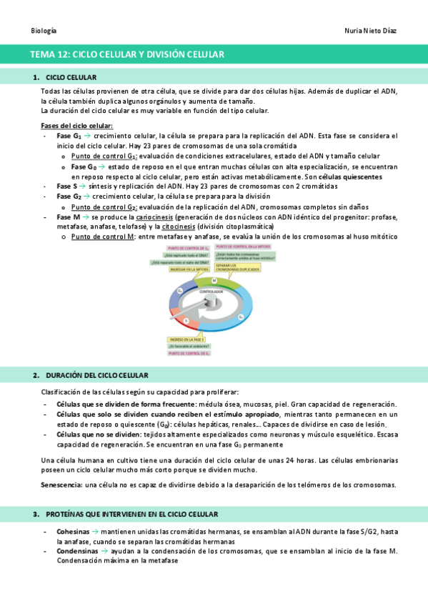 Miniatura del documento TEMA-12-Ciclo-celular-y-division-celular.pdf