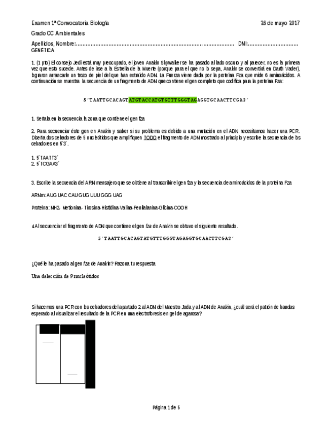 Miniatura del documento Examen 1ª convocatoria 2016-17 Genética Resuelto.pdf