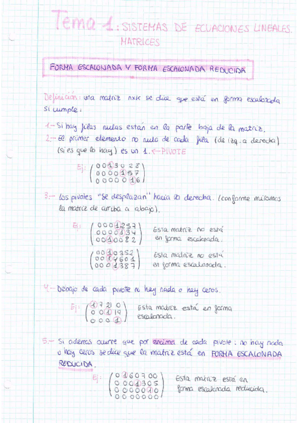 Miniatura del documento TEMARIO-ALGEBRA.pdf