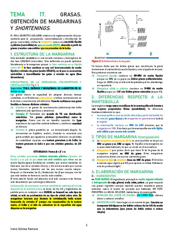 Miniatura del documento TOV-T17.pdf