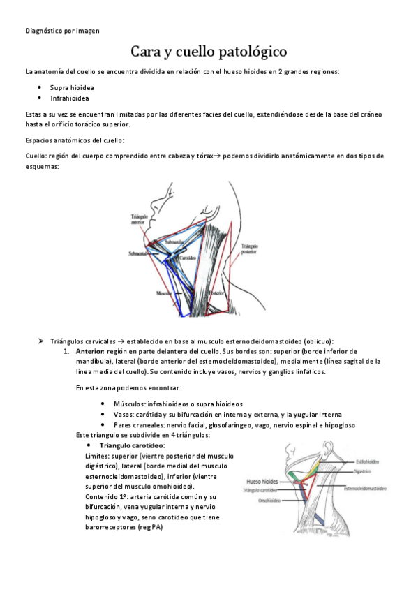 Miniatura del documento diagnostico-por-imagen-terminado.pdf