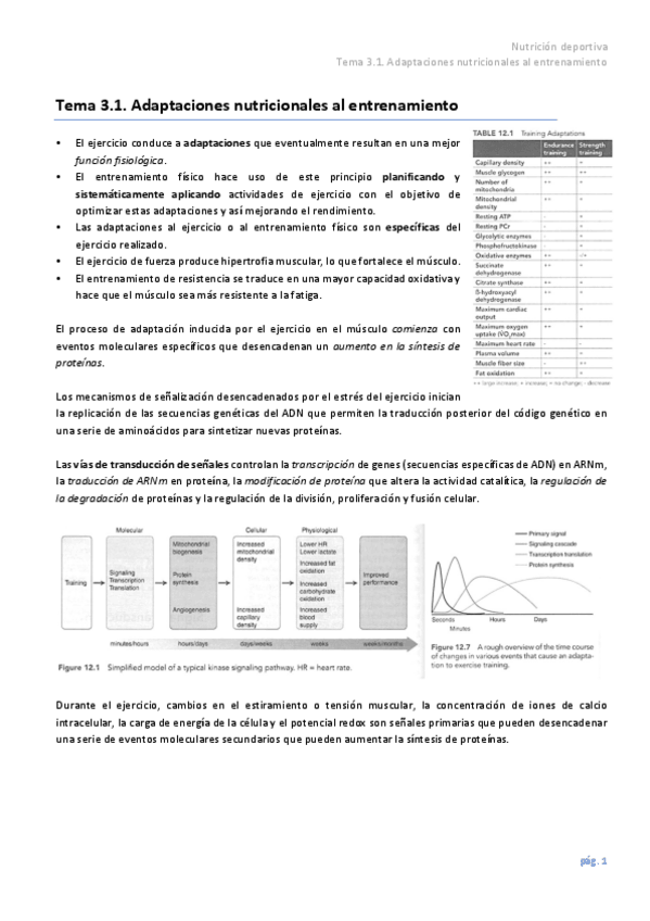 Miniatura del documento Tema-3.pdf