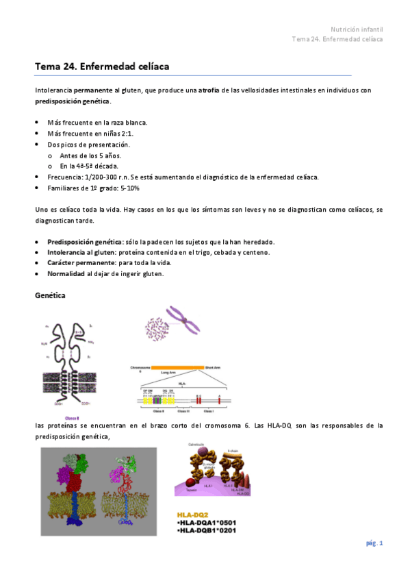 Miniatura del documento Tema-24.pdf