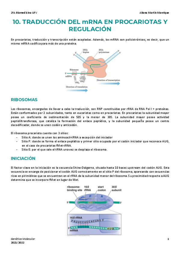 Miniatura del documento Tema-10-Traduccion-procariota-y-regulacion.pdf