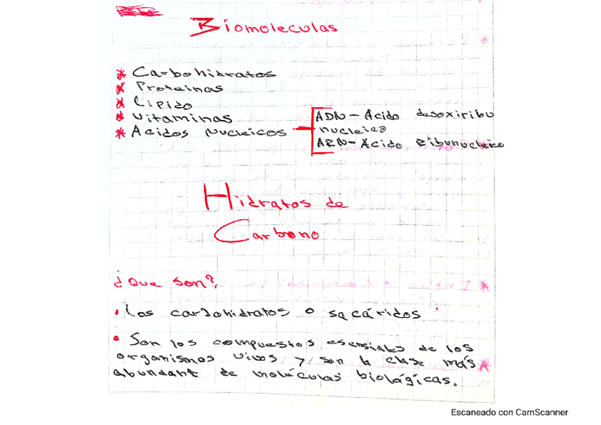 Miniatura del documento biomoleculas.pdf