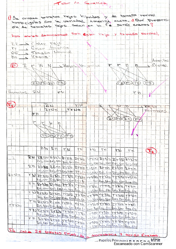 Miniatura del documento taller-de-genetica.pdf