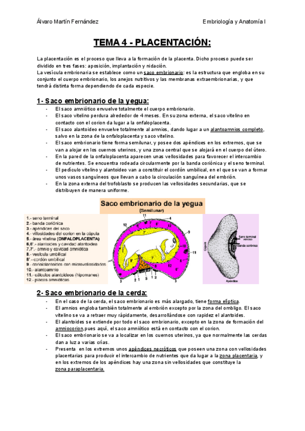Miniatura del documento TEMA-4-PLACENTACION.pdf