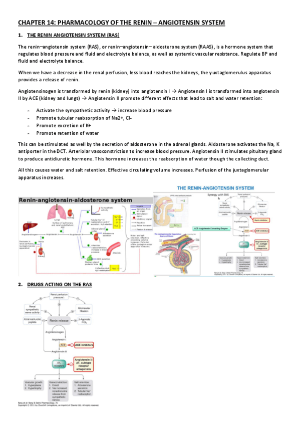 Miniatura del documento CHAPTER-14.pdf