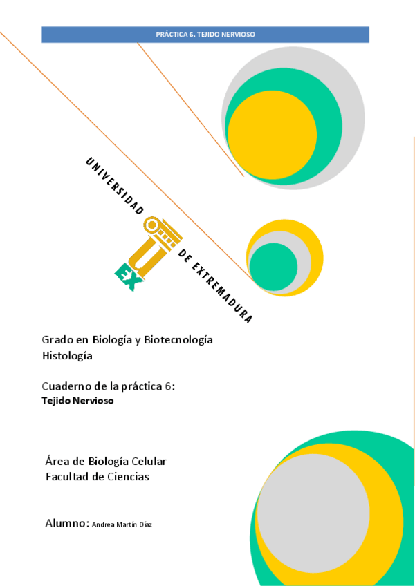 Miniatura del documento PRACTICA-TEJIDO-NERVIOSO.pdf