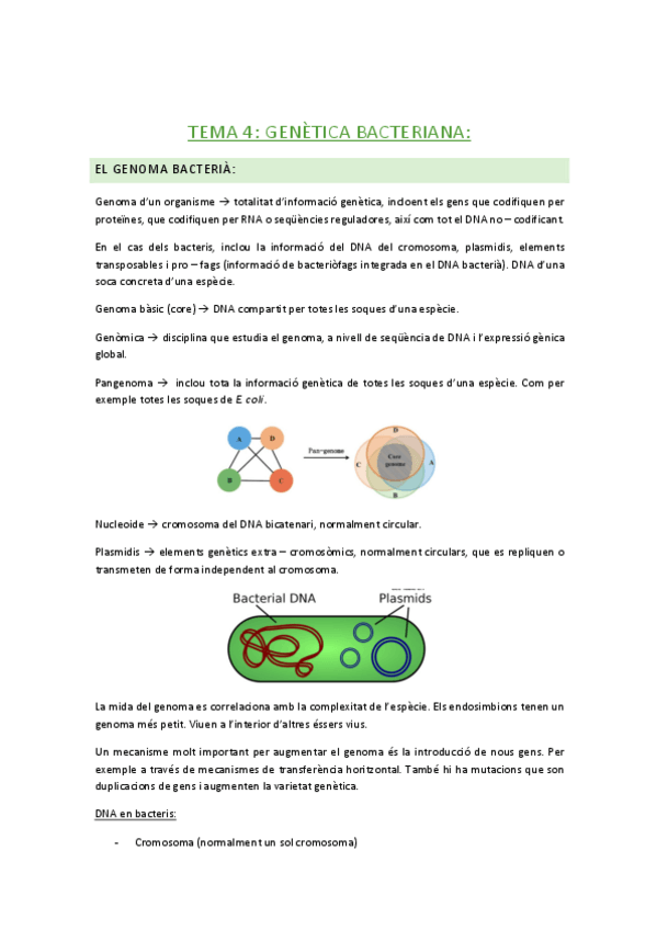Miniatura del documento tema-4.pdf