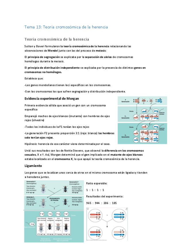 Miniatura del documento Tema-13-bcm.pdf