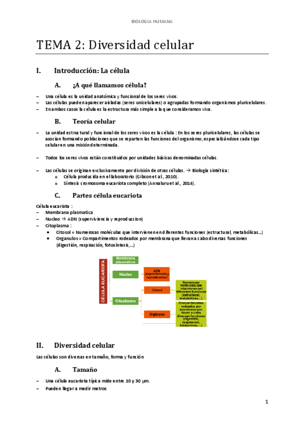 Miniatura del documento d-TEMA-2-Diversidad-celular.pdf