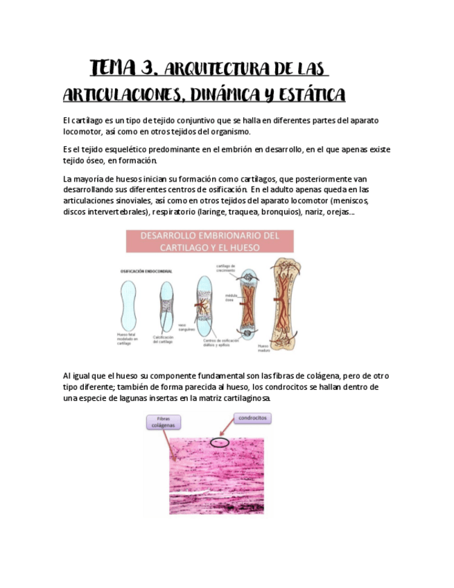Miniatura del documento Tema-3.pdf