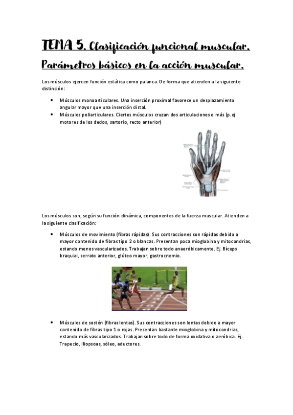 Miniatura del documento Tema-5.pdf