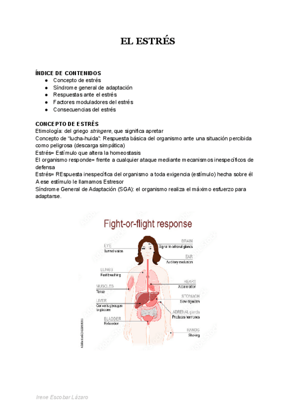 Miniatura del documento EL-ESTRES-2.pdf