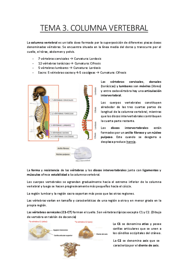 Miniatura del documento TEMA 3.pdf