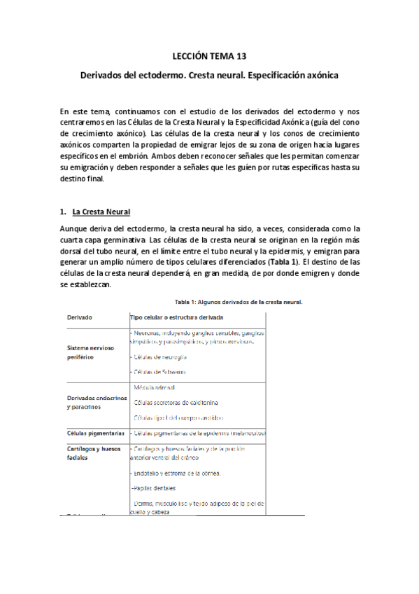 Miniatura del documento LECCION-T13Texto-y-preguntas.pdf