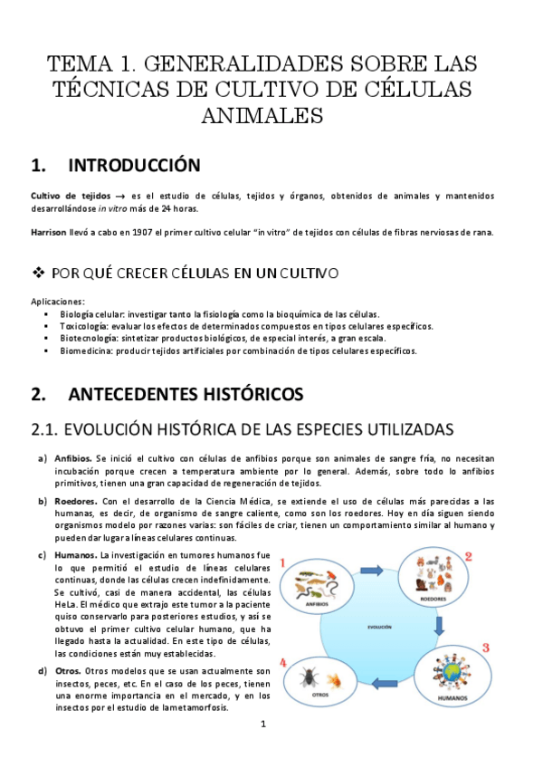 Miniatura del documento t1resumen.pdf