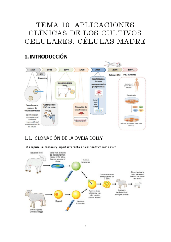 Miniatura del documento t10resumen.pdf