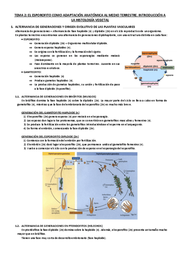 Miniatura del documento Tema-2.pdf