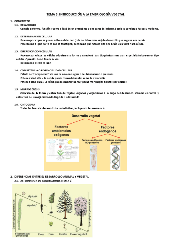 Miniatura del documento Tema-3.pdf