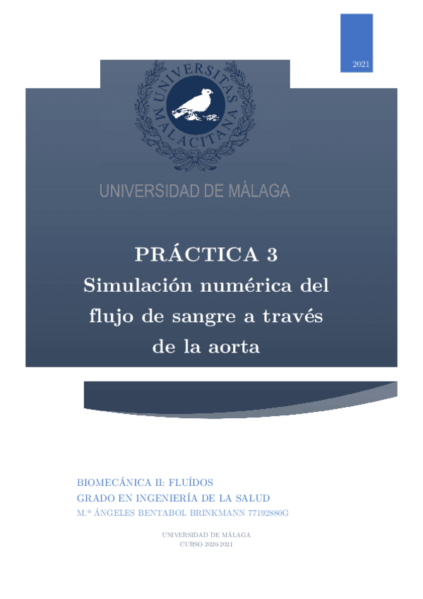 Miniatura del documento Practica-3-Simulacion-numerica-del-flujo-de-una-aorta.pdf