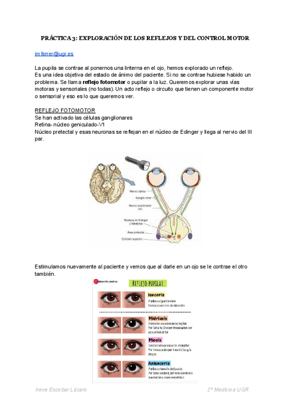 Miniatura del documento PRACTICA-3-EXPLORACION-DE-LOS-REFLEJOS-Y-DEL-CONTROL-MOTOR-2.pdf