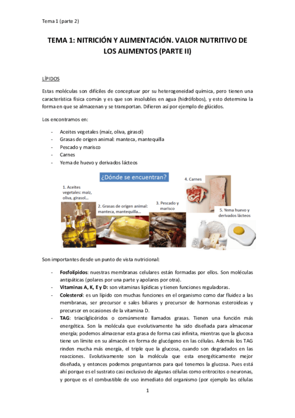 Miniatura del documento TEMA 1 PARTE 2.pdf