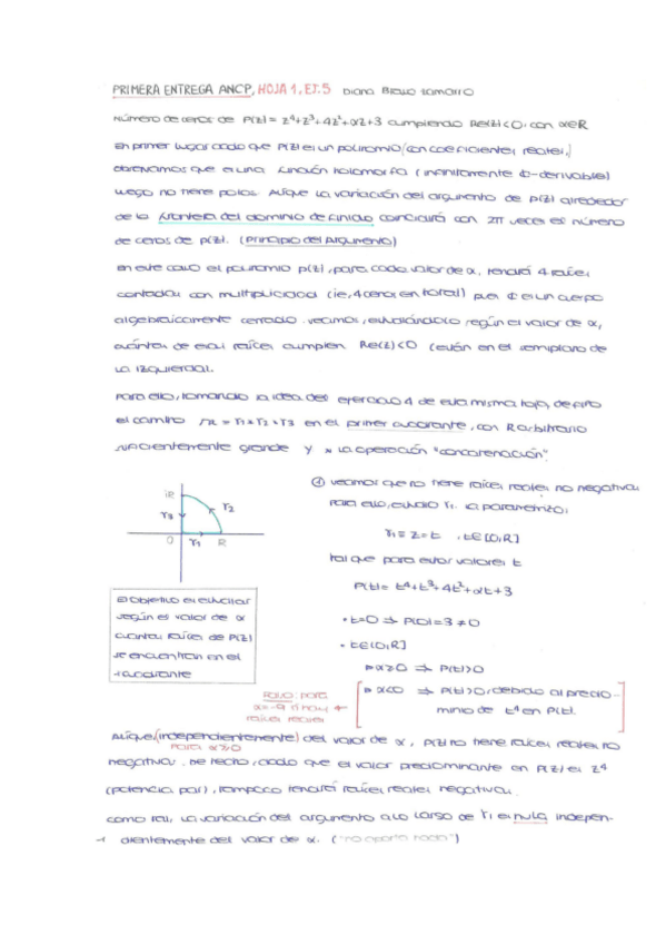 Miniatura del documento PRIMERA-ENTREGA-ANCP.pdf