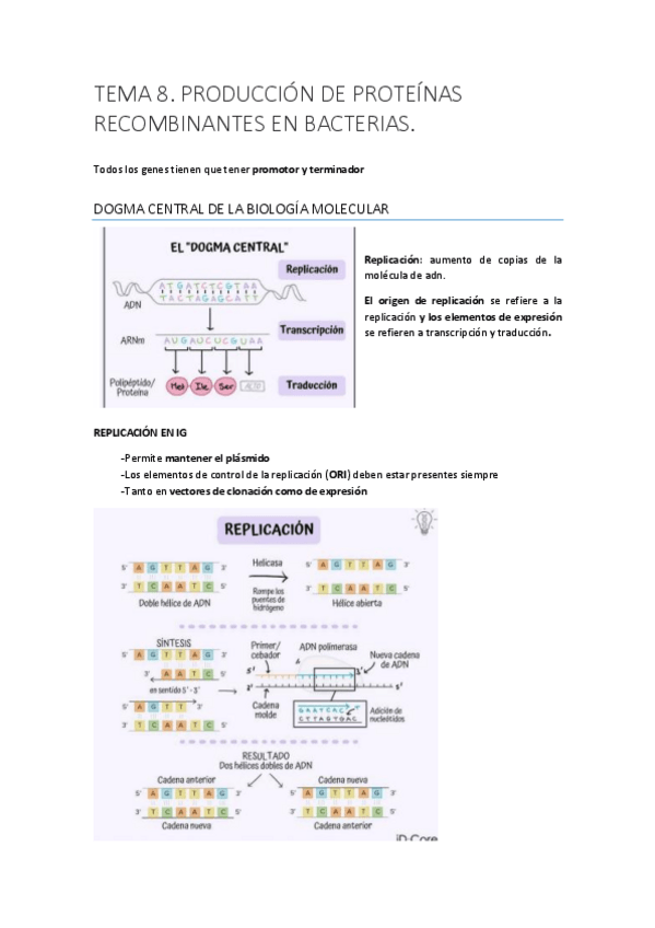 Miniatura del documento IG-TEMA-8.pdf