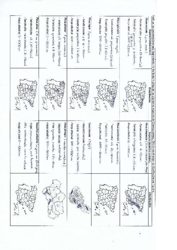 Miniatura del documento Distribución Pinus en España (1).pdf