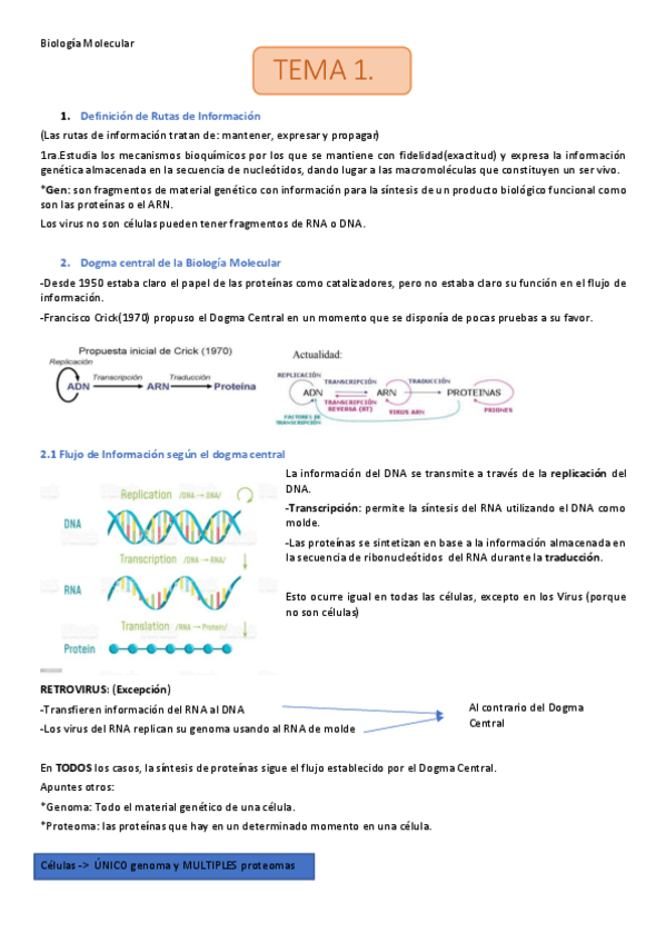 Miniatura del documento TEMA-1.pdf