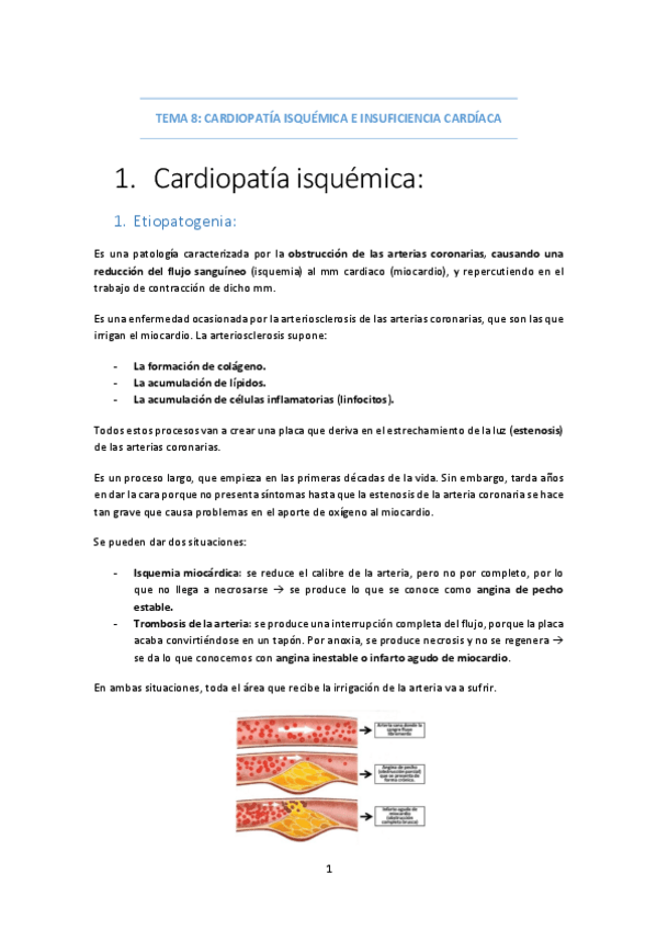 Miniatura del documento TEMA-8-CARDIOPATIA-E-INSUFICIENCIA.pdf