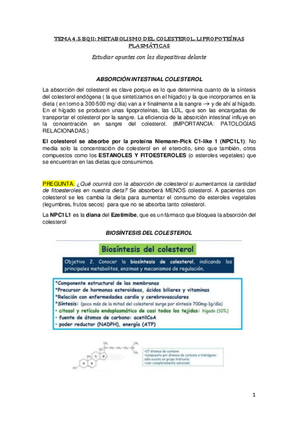 Miniatura del documento 4.pdf