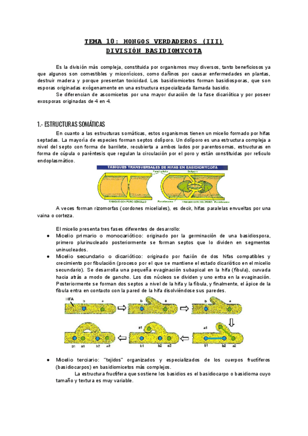 Miniatura del documento TEMA-10-ALGAS.pdf