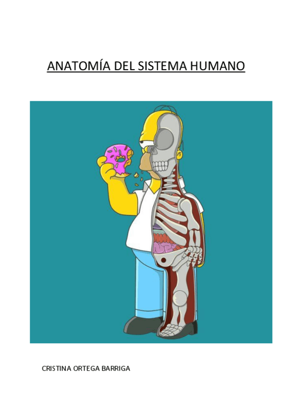 Miniatura del documento Apuntes-anatomia.pdf