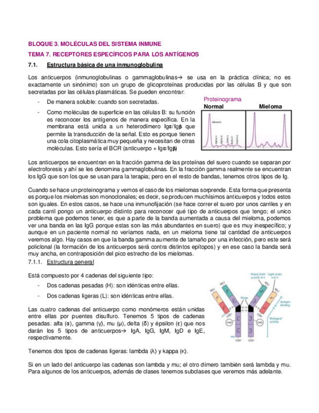 Miniatura del documento 7.pdf
