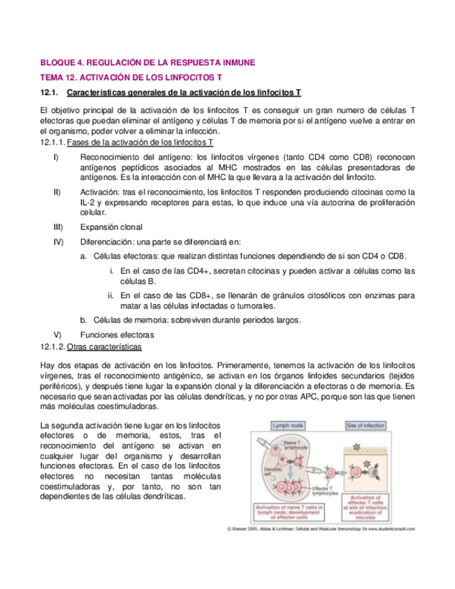 Miniatura del documento 12.pdf