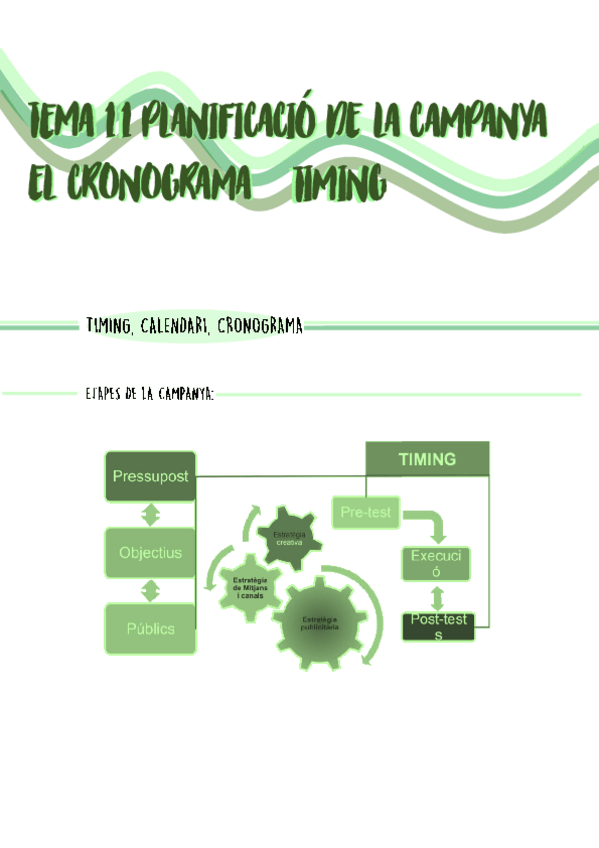 Miniatura del documento TEMA-11-Planificacio-de-la-campanya.pdf