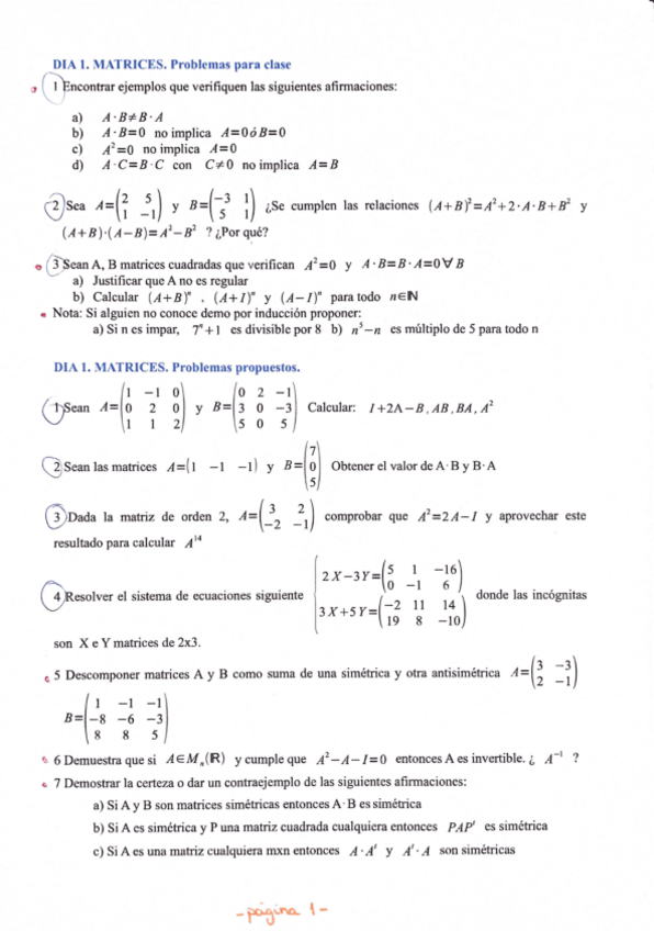 Miniatura del documento Matrices