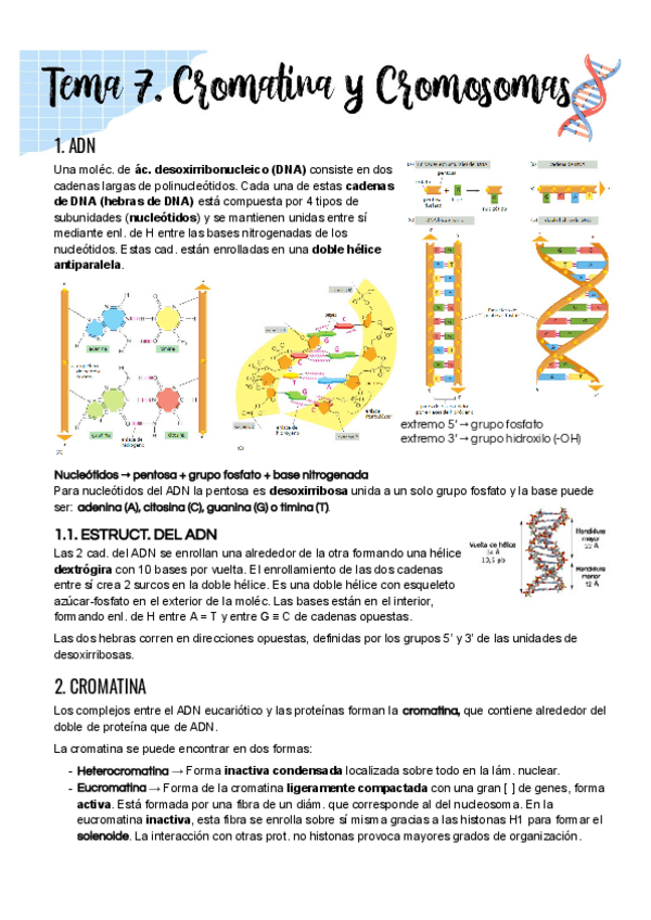 Miniatura del documento Tema-7.pdf