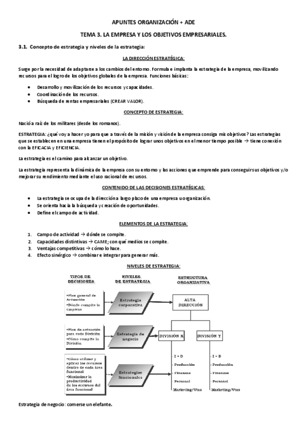 Miniatura del documento Apuntes-organizacion-ADE-Tema-3.pdf