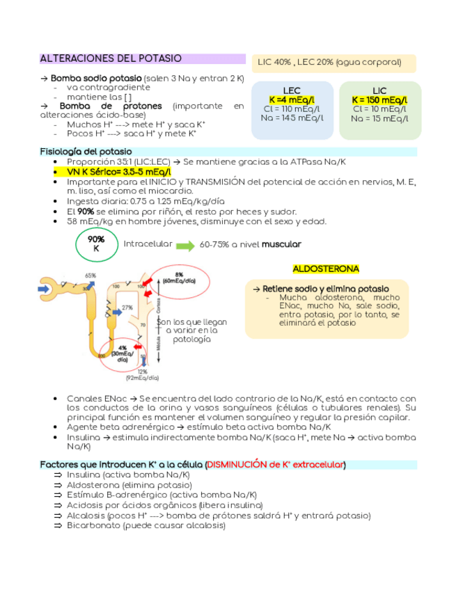 Miniatura del documento ALTERACIONES-DEL-POTASIO.pdf
