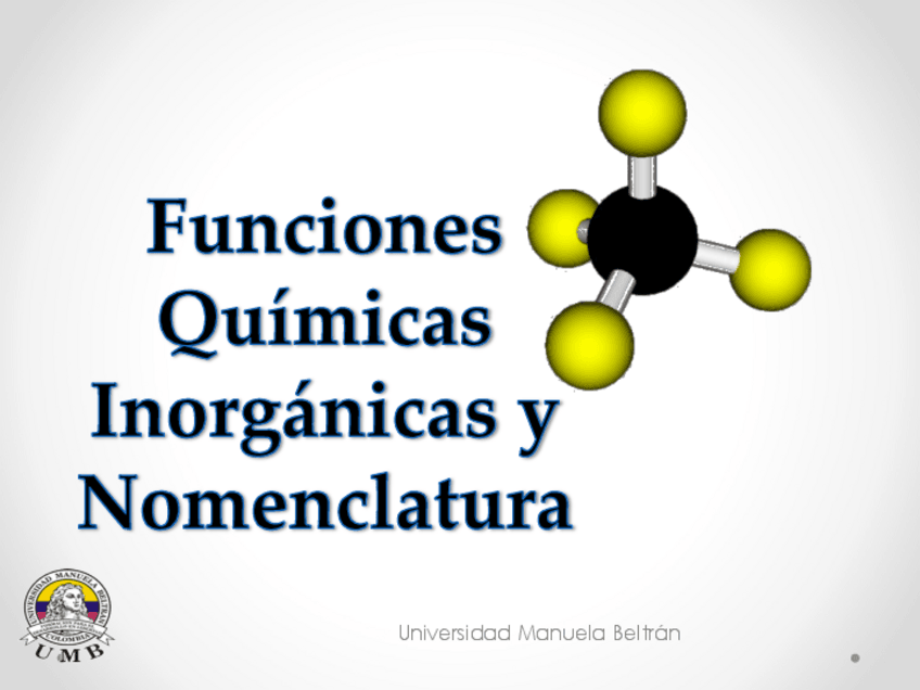 Miniatura del documento 6-funciones-quimicas.pdf