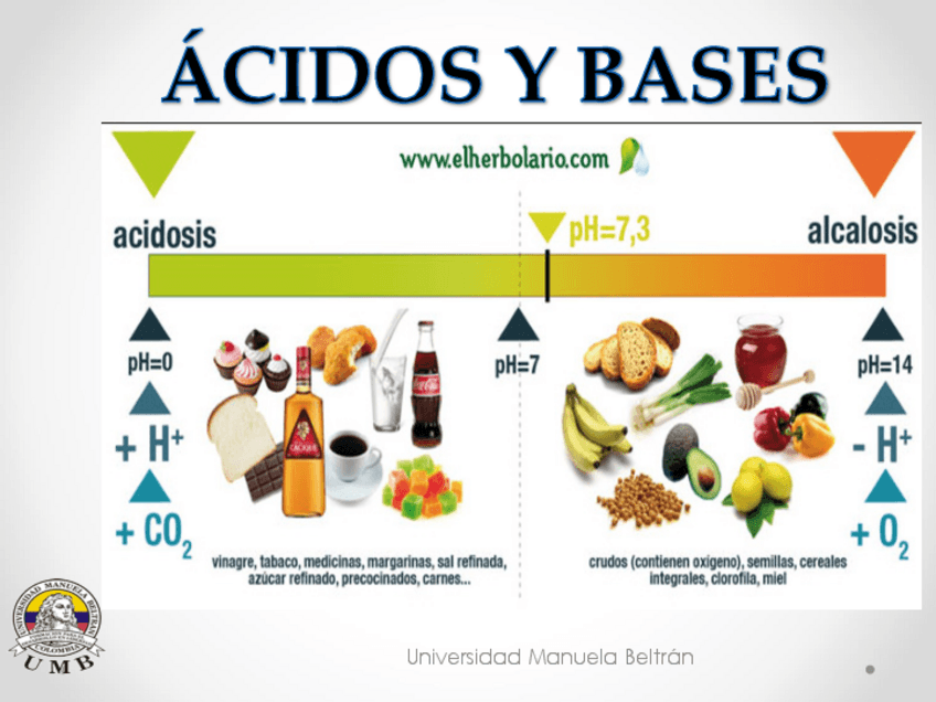 Miniatura del documento 10-acidos-y-bases.pdf