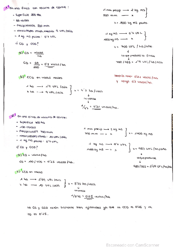 Miniatura del documento PROBLEMAS-VACUNO-CARNE-RESUELTOS.pdf