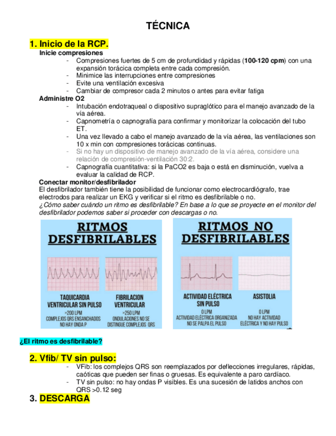 Miniatura del documento RCP.pdf