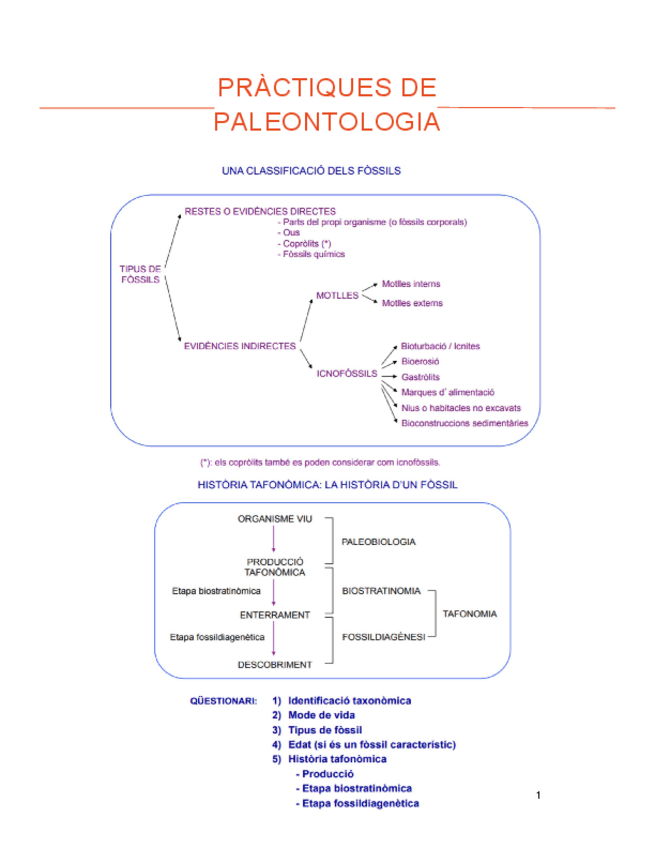 Miniatura del documento lab-paleo.pdf