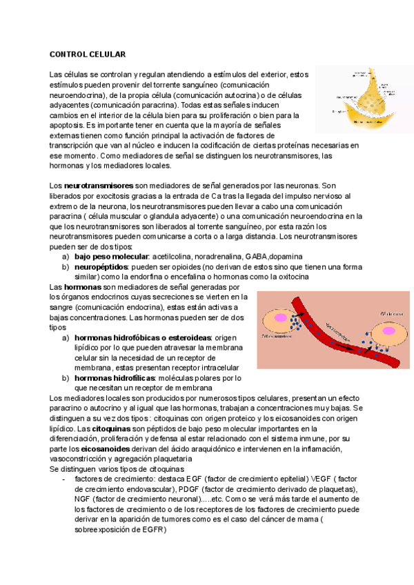 Miniatura del documento CONTROL-CELULAR-1.pdf