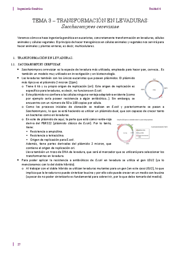 Miniatura del documento U4-T3.pdf